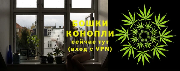 сатива Баксан